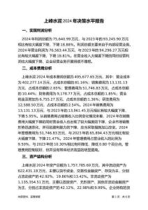 上峰水泥2024年決策水平分析報(bào)告