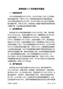 田中科技2024年決策水平分析報告