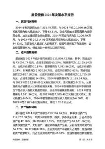 星云股份2024年決策水平分析報(bào)告