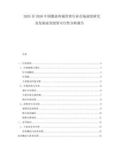 2025至2030中国膝盖疼痛管理行业市场深度研究及发展前景投资可行性分析报告
