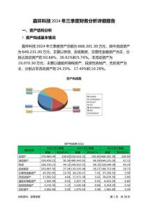 嘉環(huán)科技2024年三季度財(cái)務(wù)分析詳細(xì)報(bào)告