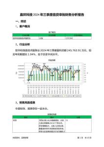 嘉環(huán)科技2024年三季度信貸審批財(cái)務(wù)分析報(bào)告