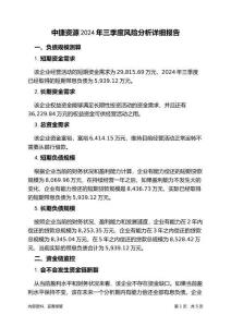 中捷資源2024年三季度財(cái)務(wù)風(fēng)險(xiǎn)分析詳細(xì)報(bào)告