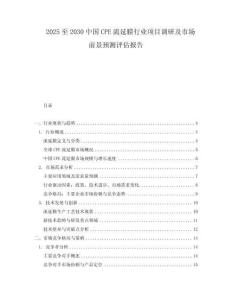2025至2030中國CPE流延膜行業項目調研及市場前景預測評估報告