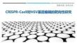 CRISPR-Cas9對(duì)HSV基因編輯的靶向性研究-洞察剖析