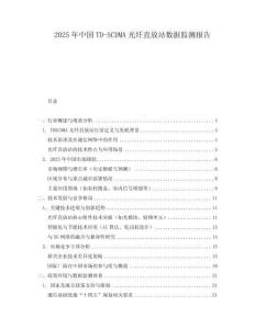 2025年中國TD-SCDMA光纖直放站數據監測報告