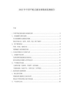 2025年中國(guó)平板式健身器數(shù)據(jù)監(jiān)測(cè)報(bào)告