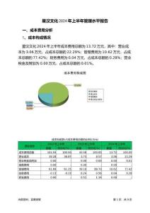 星漢文化2024年上半年管理水平報告