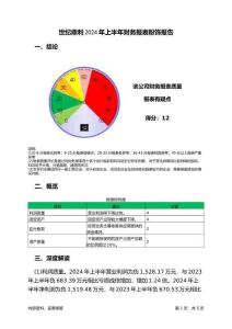 世紀鼎利2024年上半年財務報表粉飾報告