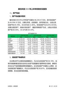 磐石科技2024年上半年財務(wù)狀況報告
