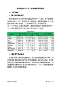 嘉環(huán)科技2024年上半年財(cái)務(wù)狀況報(bào)告