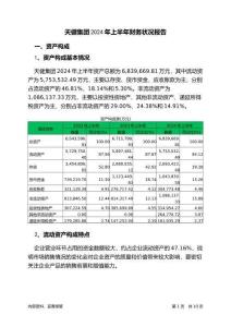 天健集團(tuán)2024年上半年財(cái)務(wù)狀況報(bào)告