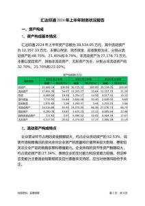 匯達(dá)印通2024年上半年財(cái)務(wù)狀況報(bào)告
