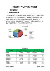 永信至誠2024年上半年財務(wù)分析詳細(xì)報告