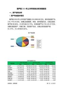 葫蘆娃2024年上半年財務分析詳細報告