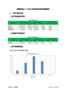 渝網(wǎng)科技2024年上半年財(cái)務(wù)分析詳細(xì)報(bào)告