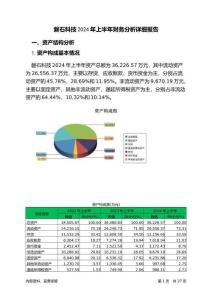 磐石科技2024年上半年財務(wù)分析詳細(xì)報告