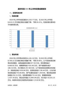 嘉環(huán)科技2024年上半年經(jīng)營(yíng)成果報(bào)告