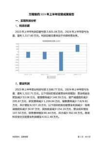 萬(wàn)隆制藥2024年上半年經(jīng)營(yíng)成果報(bào)告