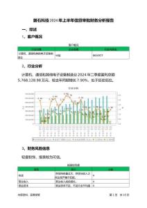 磐石科技2024年上半年信貸審批財(cái)務(wù)分析報(bào)告