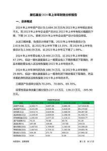 磐石基業(yè)2024年上半年財(cái)務(wù)分析報(bào)告-銀行版