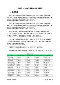 吉邦士2024年上半年財(cái)務(wù)分析報(bào)告-銀行版