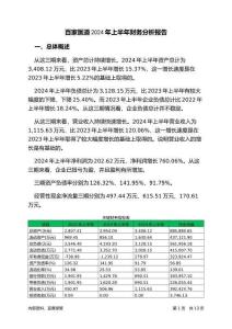 百家醫道2024年上半年財務分析報告-銀行版