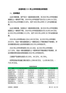 永信科技2024年上半年財務(wù)分析報告-銀行版