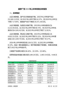藍(lán)夢(mèng)廣告2024年上半年財(cái)務(wù)分析報(bào)告-銀行版