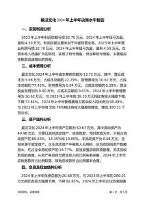 星漢文化2024年上半年決策水平分析報告