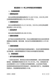 星云股份2024年上半年財(cái)務(wù)風(fēng)險(xiǎn)分析詳細(xì)報(bào)告