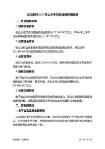 世紀鼎利2024年上半年財務風險分析詳細報告