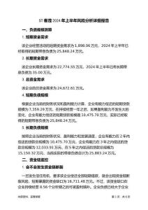 ST春茂2024年上半年财务风险分析详细报告