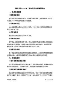 四宝生物2024年上半年财务风险分析详细报告
