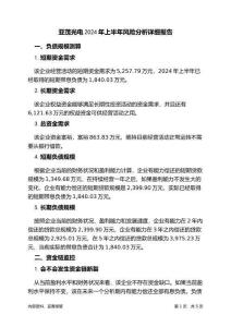 亚茂光电2024年上半年财务风险分析详细报告