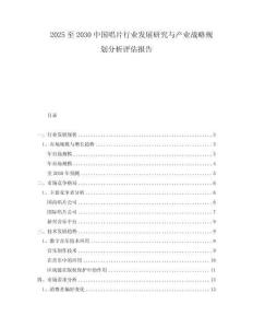 2025至2030中國唱片行業發展研究與產業戰略規劃分析評估報告