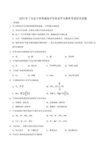 辽宁省2024年7月普通高中学业水平合格性考试化学试卷（含答案）