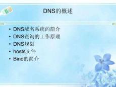 DNS的概述教學(xué)課件