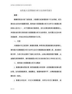 高性能大范圍數據分析方法的研究報告