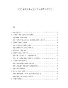 2025年落水毛絨項目市場調查研究報告