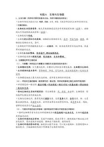 中考生物复习专题六－生物与生物圈