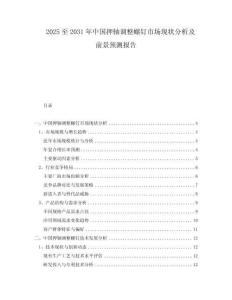 2025至2031年中國押軸調整螺釘市場現狀分析及前景預測報告