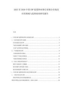 2025至2030中國CMP泥漿和襯墊行業細分市場及應用領域與趨勢展望研究報告