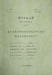 基于雜原子摻雜碳纖維復(fù)合催化劑的制備及電催化性能研究