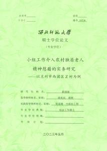 小組工作介入農村獨居老人精神慰藉的實務研究--以蘭州市西固區Z村為例