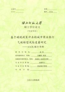 基于碳稅政策沖擊的城市商業銀行氣候轉型風險度量研究--以CS銀行為例
