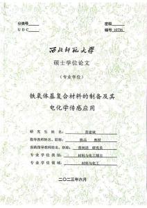 鐵氧體基復合材料的制備及其電化學傳感應用