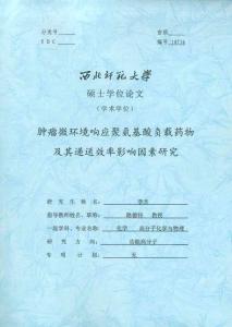 腫瘤微環境響應聚氨基酸負載藥物及其遞送準效率因素研究