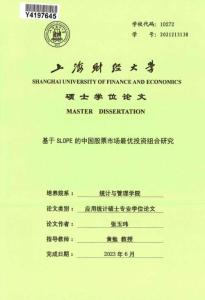 基于SLOPE的中国股票市场最优投资组合研究