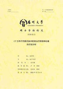 CT引導(dǎo)不同模式脈沖射頻治療陰部神經(jīng)痛的療效分析